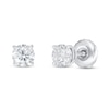 Thumbnail Image 0 of Lab-Grown Diamonds by KAY Solitaire Stud Earrings 1/2 ct tw 14K White Gold (F/SI2)