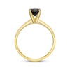 Thumbnail Image 2 of Round-Cut Black Diamond Solitaire Ring 1 ct tw 14K Yellow Gold (I3)