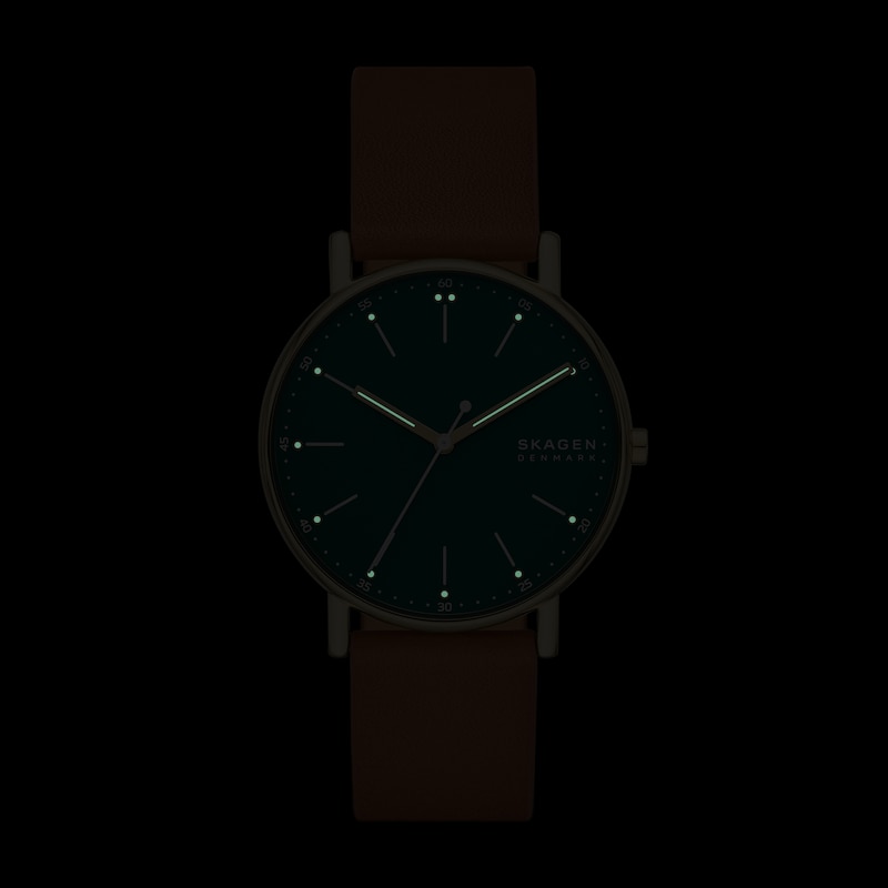 Main Image 4 of Skagen Signatur Men's Watch SKW6927