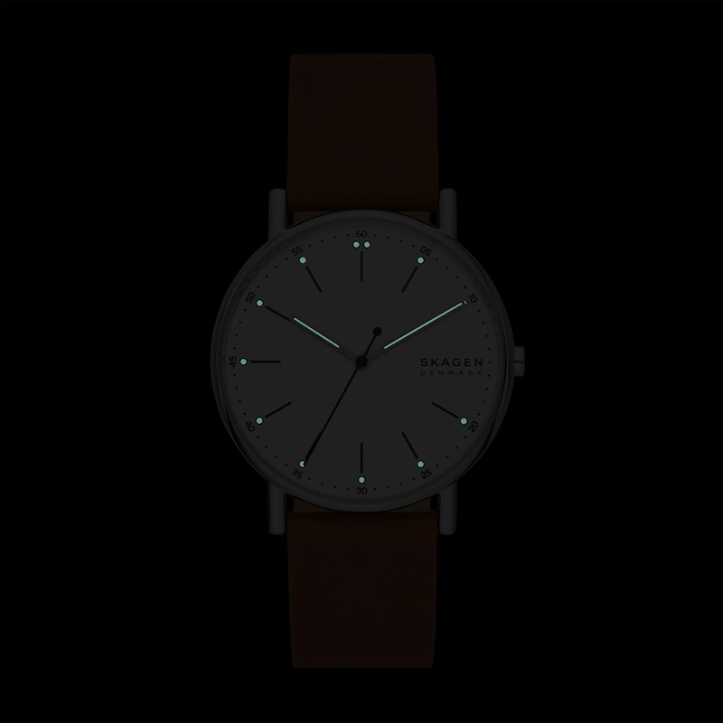 Main Image 4 of Skagen Signatur Men's Watch SKW6903