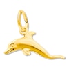 Thumbnail Image 1 of Dolphin Charm 14K Yellow Gold