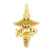 Thumbnail Image 1 of Nurse Practitioner Charm 14K Yellow Gold