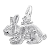 Thumbnail Image 1 of Rabbit Charm Sterling Silver