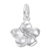 Thumbnail Image 1 of Plumeria Flower Charm Sterling Silver