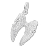 Thumbnail Image 0 of Angel Wings Charm Sterling Silver