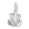 Thumbnail Image 1 of Frog Charm Sterling Silver