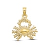 Thumbnail Image 1 of Zodiac Cancer Charm 10K Yellow Gold