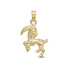 Thumbnail Image 1 of Zodiac Capricorn Charm 10K Yellow Gold