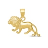 Thumbnail Image 1 of Men's Diamond-cut Lion Charm 10K Yellow Gold