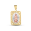 Thumbnail Image 1 of Our Lady of Guadalupe Charm 14K Two-Tone Gold