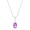 Thumbnail Image 1 of Amethyst Birthstone Necklace 10K White Gold 18&quot;