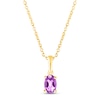 Thumbnail Image 0 of Amethyst Birthstone Necklace 10K Yellow Gold 18"