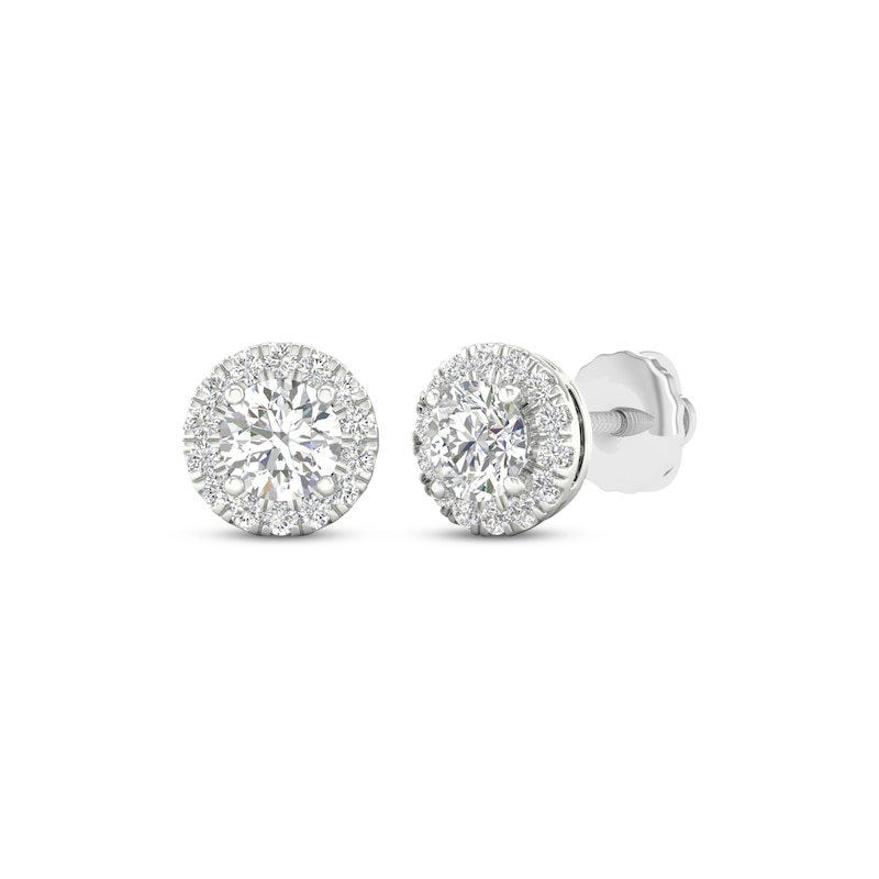 Main Image 1 of KAY Lab-Grown Diamonds Halo Stud Earrings 1 ct tw 14K White Gold (F/SI2)