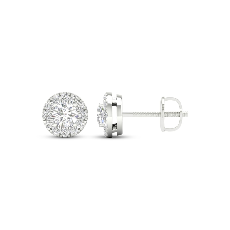 Lab-Grown Diamonds by KAY Halo Stud Earrings 1/2 ct tw 14K White Gold (F/SI2)