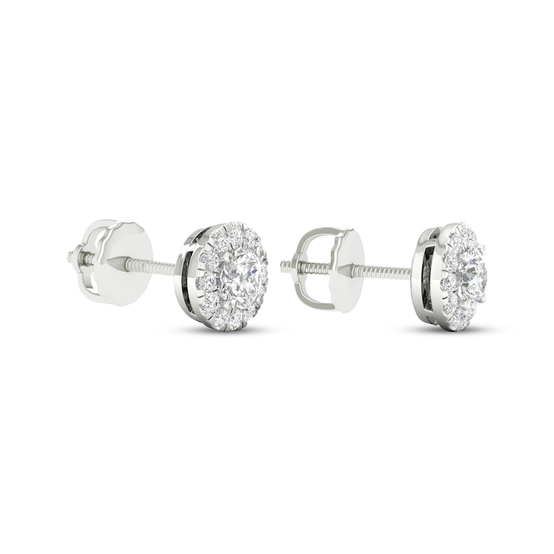 Lab-Created Diamonds by KAY Halo Stud Earrings 1/2 ct tw 14K White Gold (F/SI2)