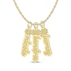 Thumbnail Image 1 of Flower-Topped Vertical Three Tag Name Necklace 10K Yellow Gold 18&quot;