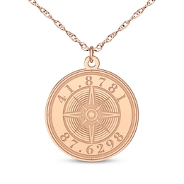 Compass Coordinates Necklace 14K Rose Gold 18&quot;