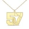 Thumbnail Image 1 of Hockey Double Digit Number & Name Necklace 14K Yellow Gold 22&quot;