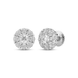 Multi-Diamond Circle Stud Earrings 1/2 ct tw 14K White Gold