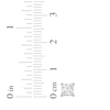 Thumbnail Image 5 of Previously Owned KAY Lab-Grown Diamonds Princess-Cut Solitaire Stud Earrings 1 ct tw 14K White Gold (F/SI2)